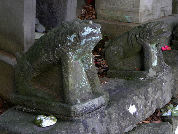 神奈川県湯河原町「素鵞神社」の狛犬