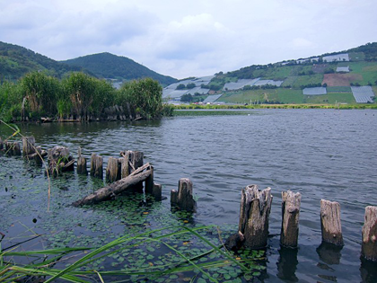 白竜湖