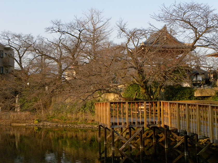 今泉名水桜公園と太岳院