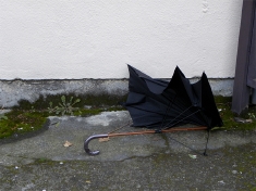 暴風去って、飛びそうな傘
