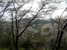 ちょうど開拓地を見渡す・中央が小野神社