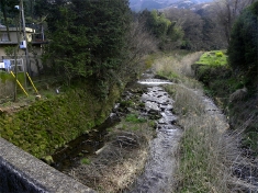実は神社前のこの川は厚木小野神社へ流れる