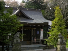 ここに二宮神社がある　桜舞ってますな