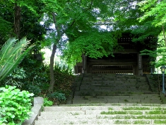 鎌倉北条縁の最明寺