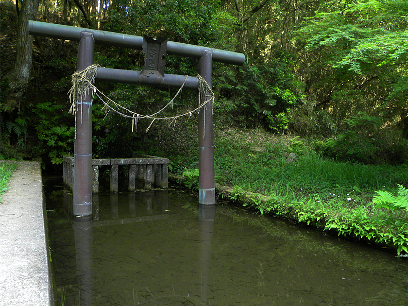 椎井の泉